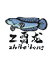 知鱼知乐雷龙鱼小铺