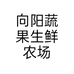 向阳的农场