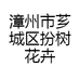 漳州市芗城区扮树花卉经营部