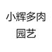 小辉多肉园艺