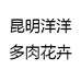 昆明洋洋多肉花卉