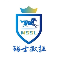 API接口及软件开发定制