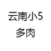 昆明小5多肉
