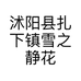 沭阳县扎下镇雪之静花卉园艺场的小店