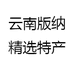 云南版纳精选特产