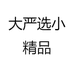 大严选小精品