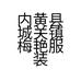 内黄县城关镇梅艳服装店的小店