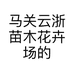 马关云浙苗木花卉场的小店