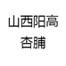 山西阳高杏脯