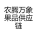 农腾万象果品供应链
