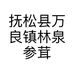 抚松县万良镇林泉参茸行的小店