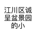 江川区诚呈盆景园的小店
