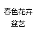 春色花卉盆艺