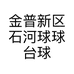金普新区石河球球台球工作室的小店