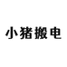 小猪搬电