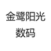 金鹭阳光数码
