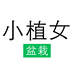 小植女绿植旗舰店