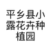 平乡县小露花卉种植园的小店