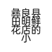 彝良县田明鲜花店的小店