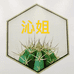 沁沁姐