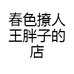 春色撩人王胖子的店