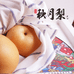 赵州生态梨园