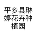 平乡县琳婷花卉种植园的小店